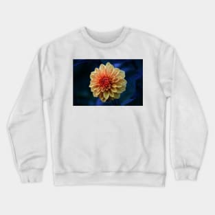 Nature’s Window: Blue Hour Crewneck Sweatshirt